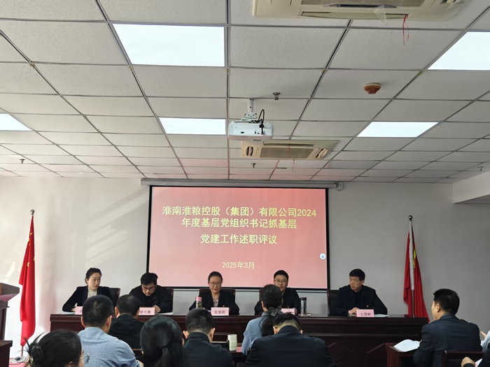 淮南淮糧控股（集團）有限公司召開2024年度黨組織書記抓基層黨建工作述職評議會議