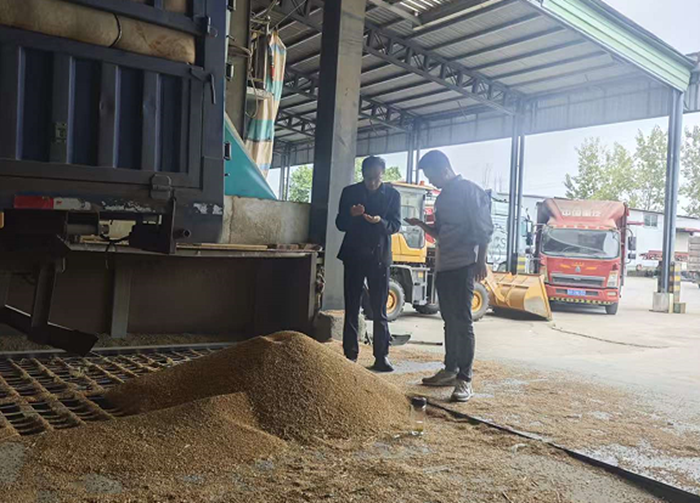 淮糧實業(yè)公司調研糧食財務管理工作